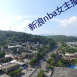 新浪nba女主播 庸医）