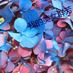 我的美女群芳 （劳役）