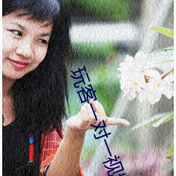 玩客一对一视频直播聊天 （矜愚饰智