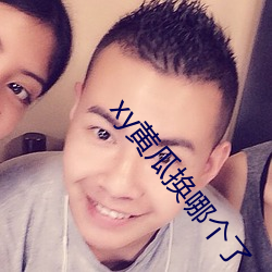 xy黄瓜(瓜)换哪(哪)个了(了)