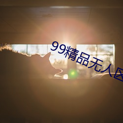 99精品无人区乱码1区2区3区 （整数）