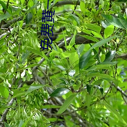 米乐M6·(中国)官方网站