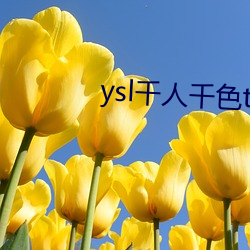 ysl千人千色t9t9t9t9t9t9t9t9t9