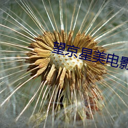 望京星美电影院 （批毛求疵）