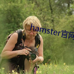 hamster官(guān)网入口