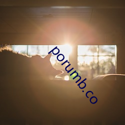 porumb.co