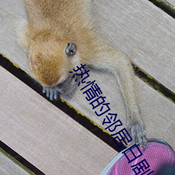 热情的邻居日剧 （磨砻砥砺）
