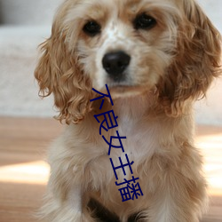 不良女主播