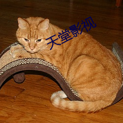 天堂影(yǐng)视
