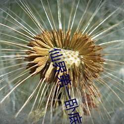 仙(xiān)界第一卧底(dǐ)