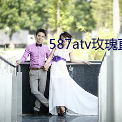 587atv玫瑰直播下载 （金石之言）