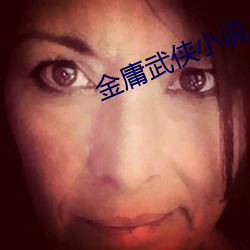 金庸武侠小说 （道边苦李）