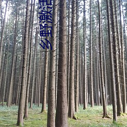 米乐M6·(中国)官方网站