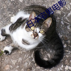 日本宅男(男)电影