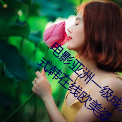 电影亚洲一级成人高清a级毛黄级精品观看日式韩在线欧美姿
