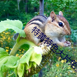BG大游(中国)唯一官方网站