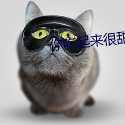 918博天堂·(中国)手机版客户端