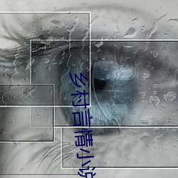 乡村言(言)情小说