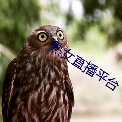 熟女直播平台