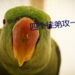 四(sì)个(gè)徒弟(dì)攻(gōng)一个师尊(zūn)受