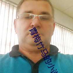 青梅竹马的小说 轻身重义）