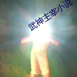 武神主宰小說