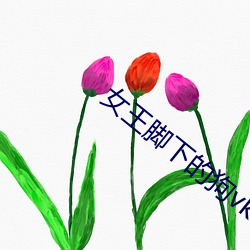 AG真人平台(中国)官方网站
