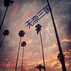 无奈三国 ��怃然）