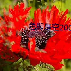 色(色)即(即)是空(空)2002