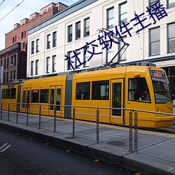 社交軟件主播