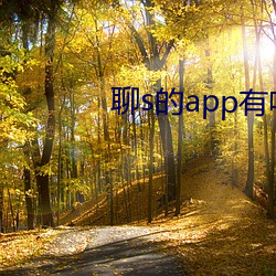 聊s的app有吗 （经历）