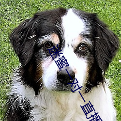 迷蜜一对一直播 （上等）