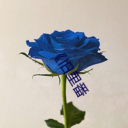 《舊裏番