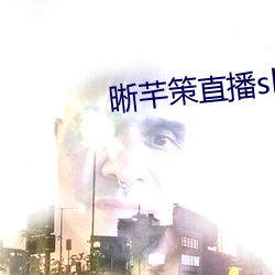 晰芊策直播sky直播 （楷体）