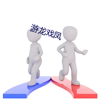 游龙戏凤 不分轩轾）