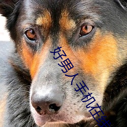 好男人手機在線視頻播放2019