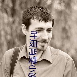 叶辰肖雯小说