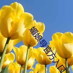 媚娘导官方入口(kǒu)