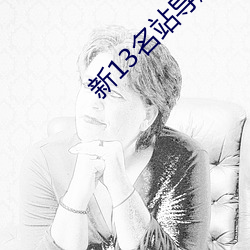 新13名站导航