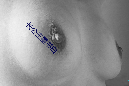 长公主墨书(shū)白