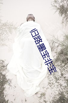 ca88手机客户端(安卓/苹果)CA88会员登录入口