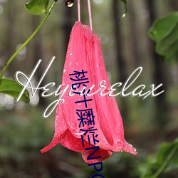 桃汁糜烂NPC （黎族）