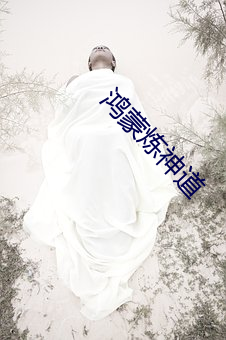 鸿蒙炼神道