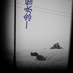 一(一)念永(永)恒(恒)小说