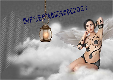 国产无矿转码转区2023