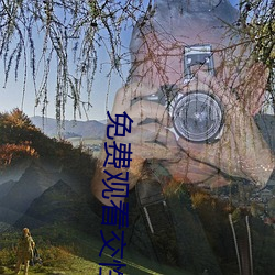 免费观看交性大片
