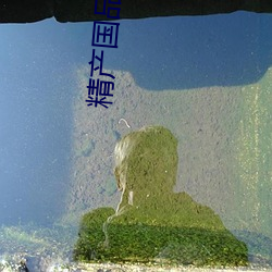 精产(産)国品兔兔