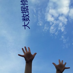 大数据修仙(xiān)