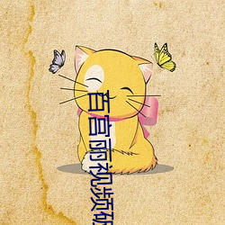 百宫丽视频破解版
