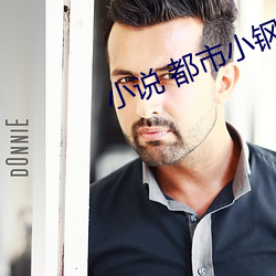 小说 都市小钢炮 诚心实意）